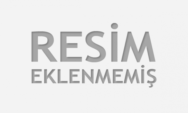 30 Vakum Tüplü Güneş Enerjisi